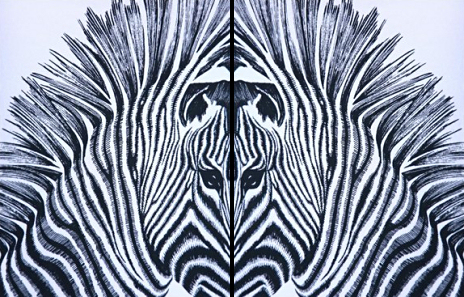 Black And White Zebra Pattern. Focus on Zebra adorns our