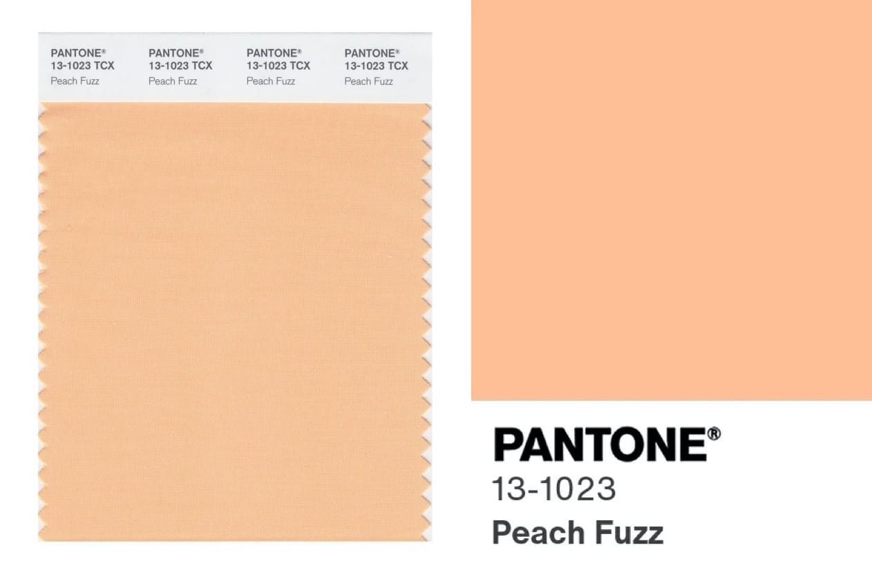 Peach Fuzz couleur tendance 2024 Pantone