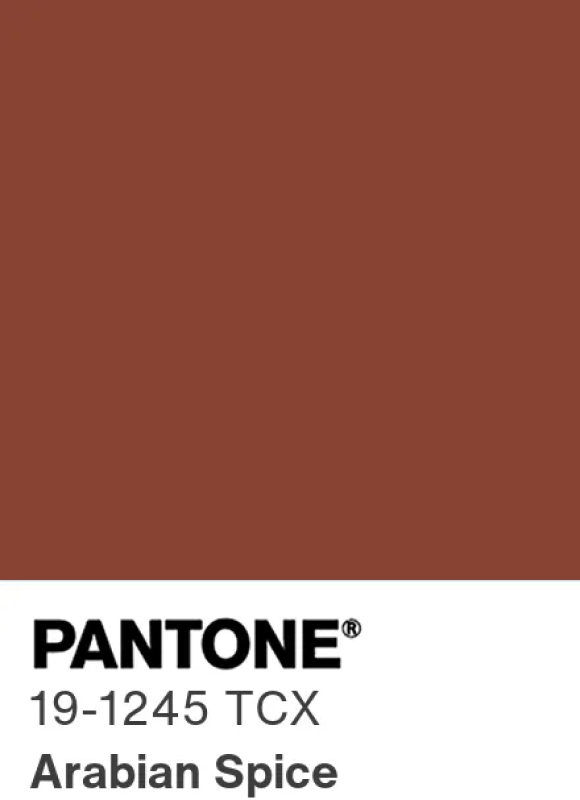Pantone Arabian Spice 19-1245 : brun épicé et intense, couleur tendance automne-hiver 2026-2027
