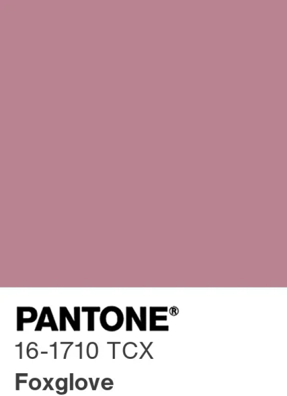 Foxglove Pantone 16-1710 : rose mauve doux et romantique, tendance couleur hiver 2026-2027