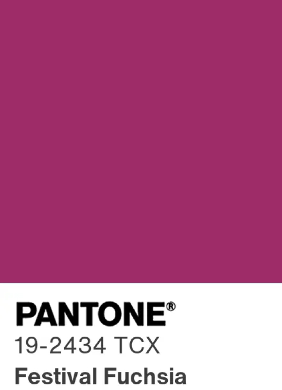 Pantone Festival Fuchsia 19-2434 : fuchsia intense et festif, couleur phare automne-hiver 2026-2027