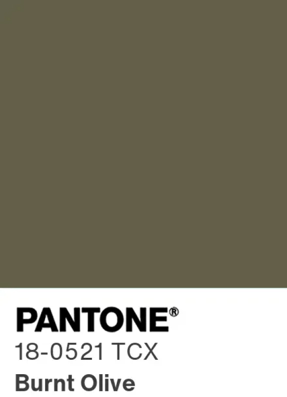 Pantone Burnt Olive 18-0521 : vert olive profond et sophistiqué, couleur tendance hiver 2026-2027