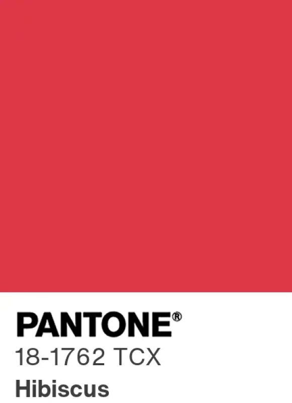 Pantone Hibiscus 18-1762 : rouge éclatant et audacieux, couleur printemps-été 2027